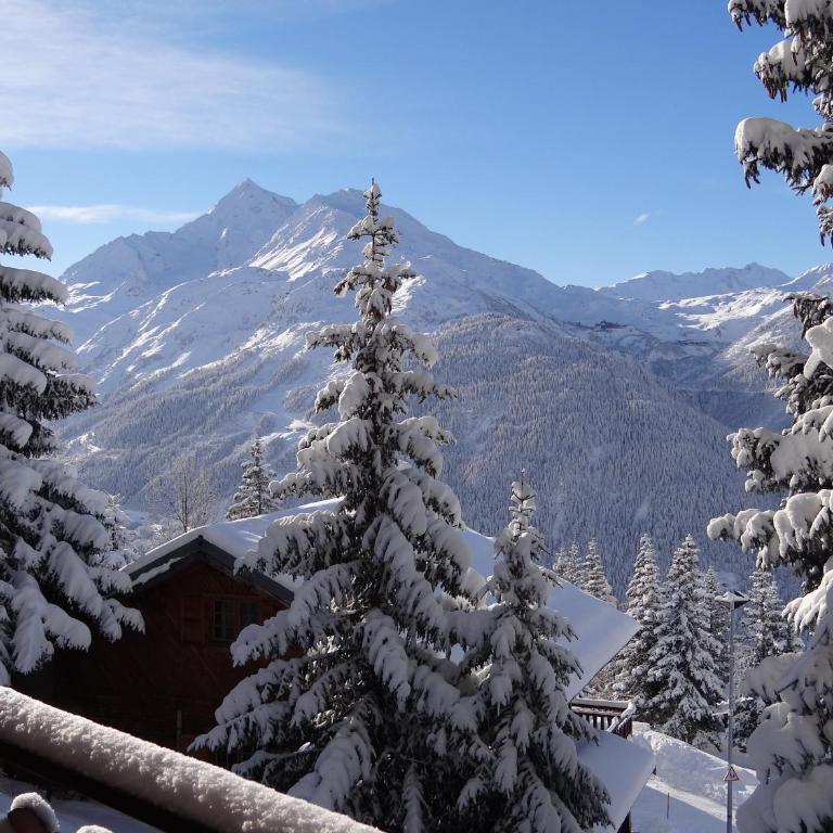 Résidence Le Tyrol - Appartement 1 Chambre - 14