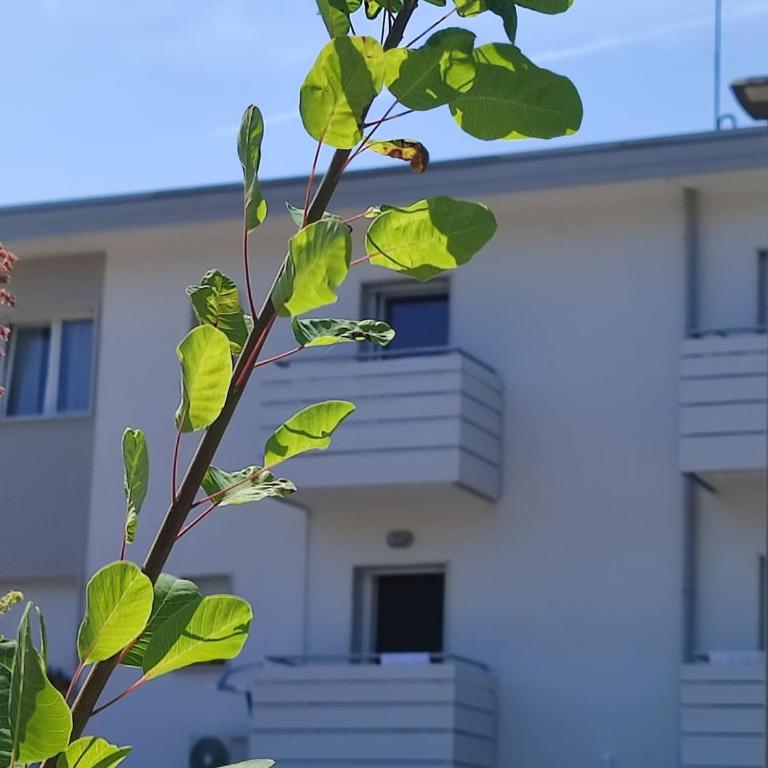 Pine view - One-Bedroom Apartment - 9