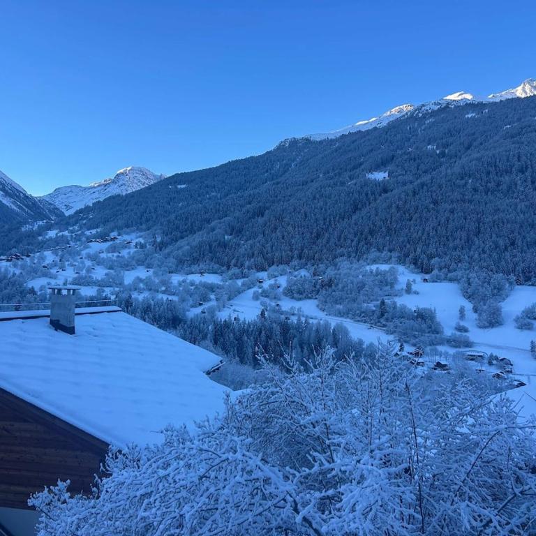Panoramic Alpine Garden Retreat - Apartment mit 2 Schlafzimmern - 5