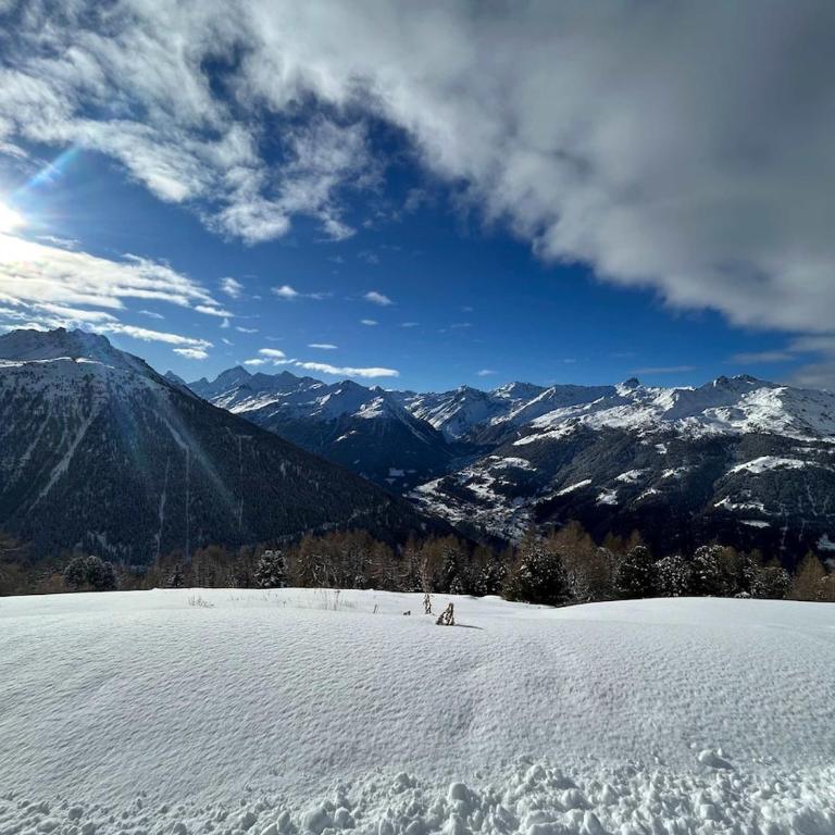 Panoramic Alpine Garden Retreat - Apartment mit 2 Schlafzimmern - 13