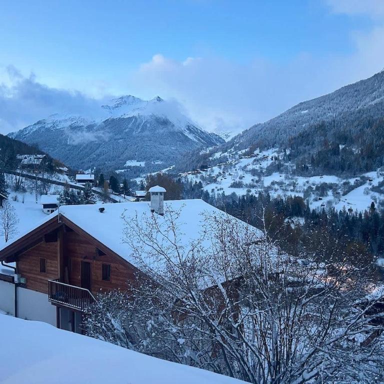 Panoramic Alpine Garden Retreat - Apartment mit 2 Schlafzimmern - 14