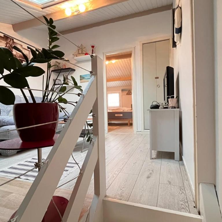 Maison Du Bois - Baie Cayola - Terrasse et Piscine - Haus mit 2 Schlafzimmern - 4