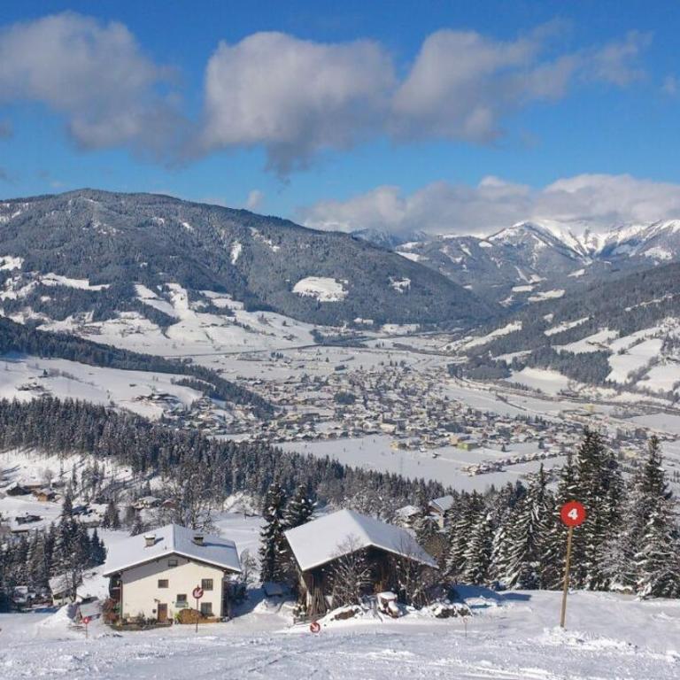 Ferienwohnung Birgit Wieser - Appartamento con Vista Montagna - 28