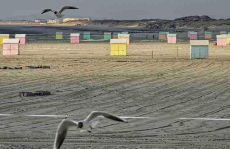Le Berckois Studio cosy pour 2 pers à Berck 2 minutes de la plage à pied - Studio - 5