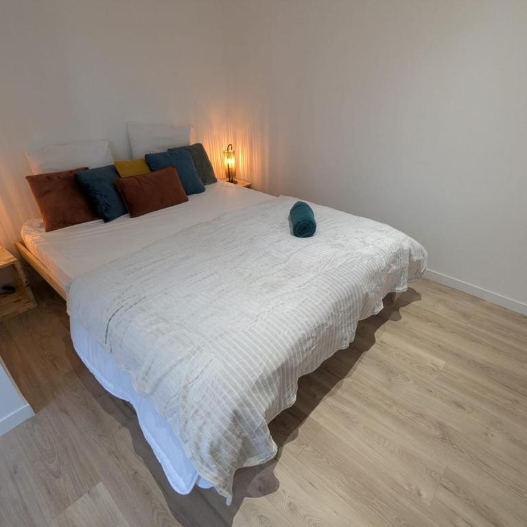 Boule de Neige - appartement spacieux et lumineux au coeur du vieux Luchon - Apartment mit 2 Schlafzimmern - 17