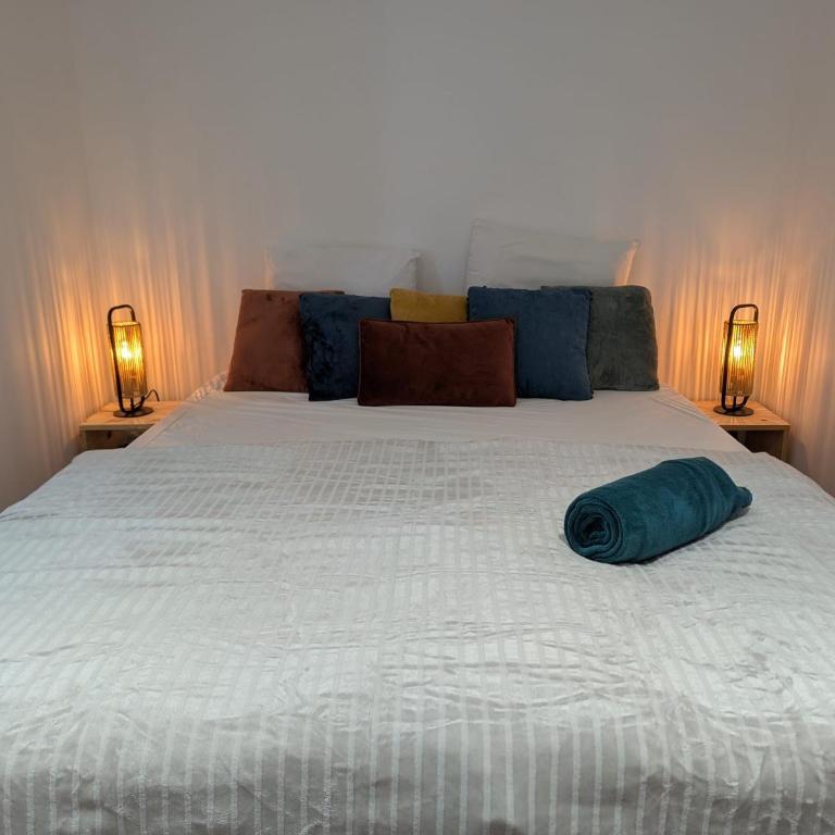 Boule de Neige - appartement spacieux et lumineux au coeur du vieux Luchon - Apartment mit 2 Schlafzimmern - 18