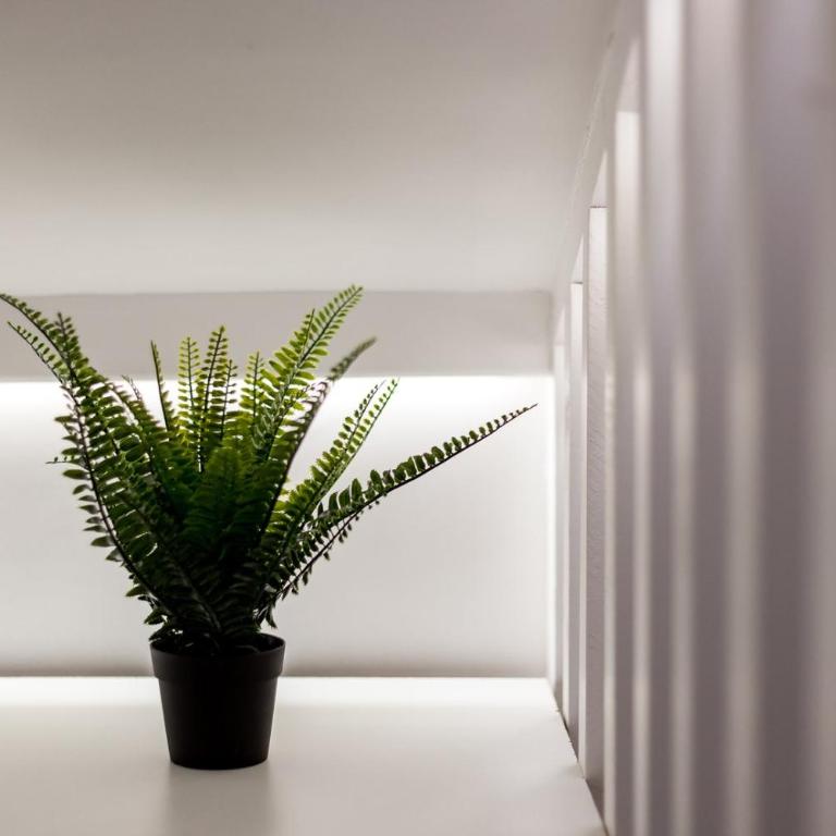 AllinLyon | Studio central – place des Célestins - Apartment - 19