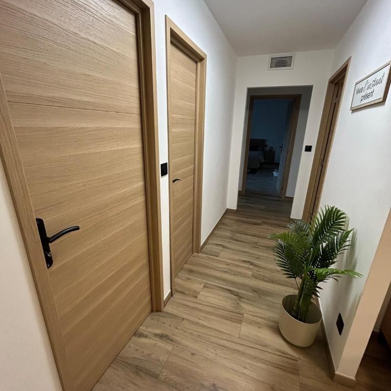 carpe diem T4 centre ville climatisé garage rénové - Apartment mit 3 Schlafzimmern - 14