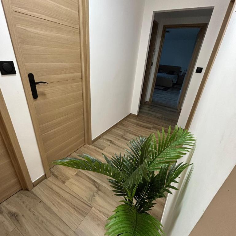 carpe diem T4 centre ville climatisé garage rénové - Apartment mit 3 Schlafzimmern - 52