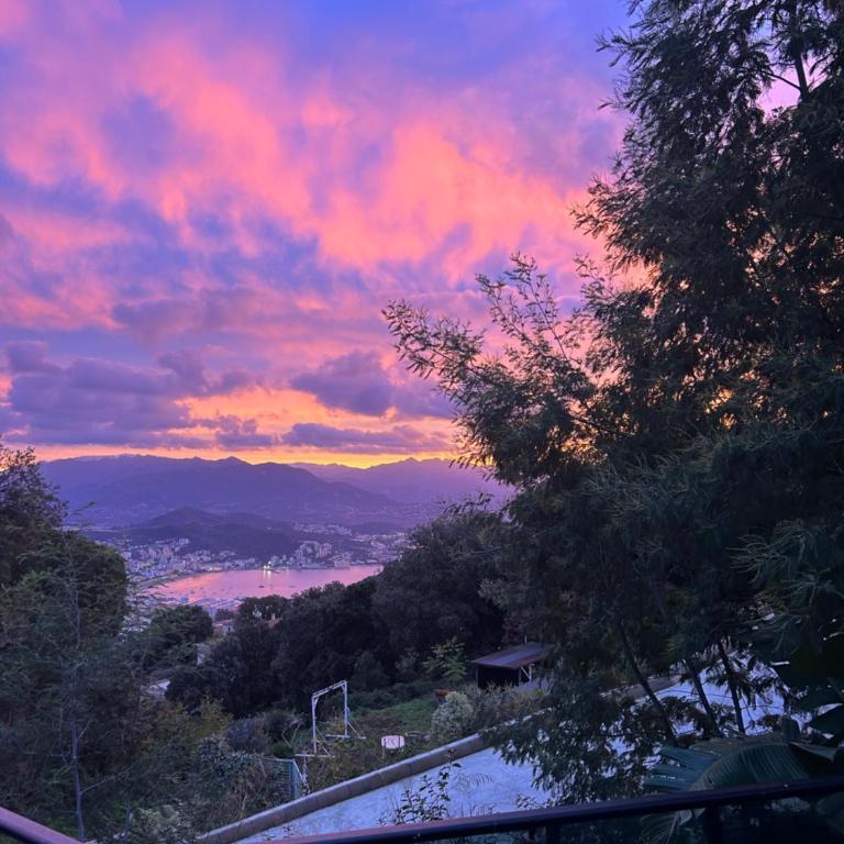 Villa avec piscine et vue sur la baie d'Ajaccio - Villa 2 Chambres - 21
