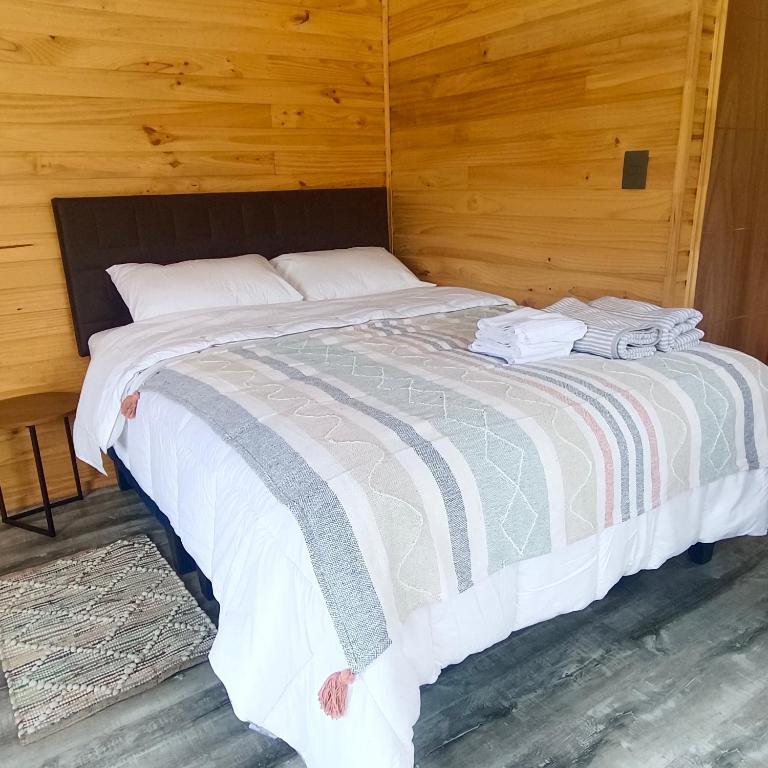 Tiny house Hornopiren - One-Bedroom House - 10