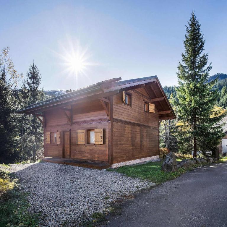 Chalet savoyard près des pistes, 13 personnes, Parking, Wifi - FR-1-568-59 - Chalet - 14