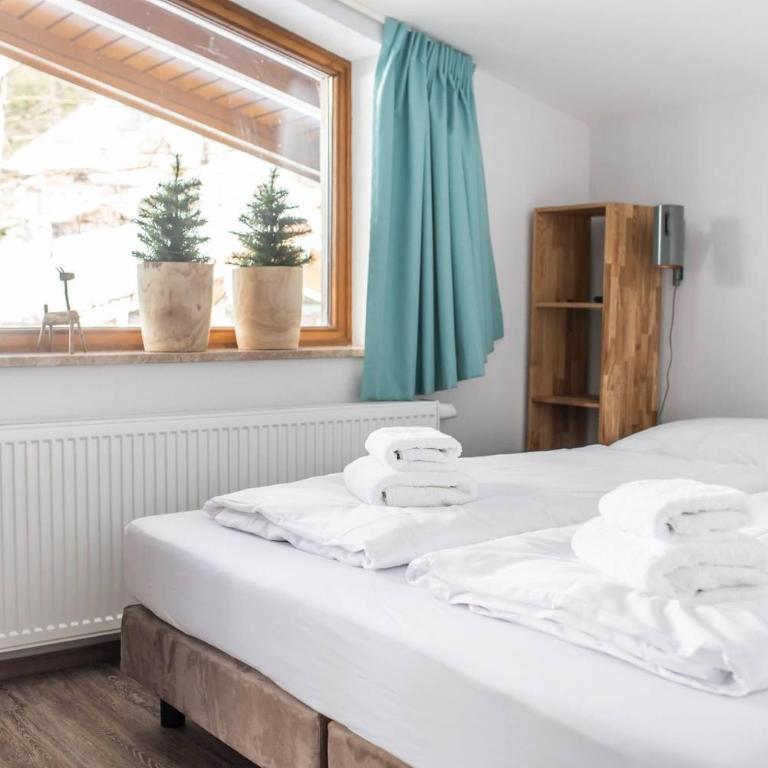 Sportchalet Viehhofen - Apartment mit Dusche - 3