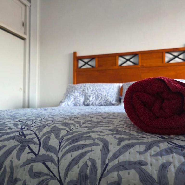 Habitación con balcon en el centro de Punta Arenas - Double Room - 4