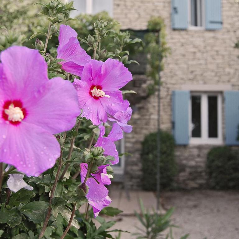 Cyprès du Paradis à Gordes - Ferienhaus - 17