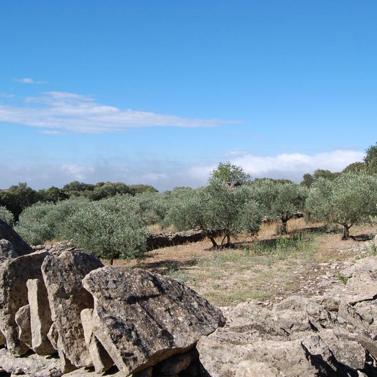 Cyprès du Paradis à Gordes - Ferienhaus - 31