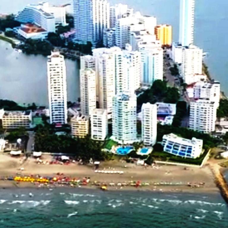 Beatifull apartment near Hilton hotel - Apartment - 3