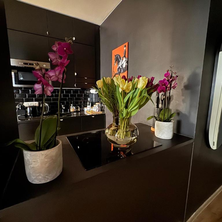 MAIER Suite Nürnberg - P03 - Parkplatz - nahe U-Bahn Maximilianstraße - 24h Self Check-in - Two-Bedroom Apartment - 9