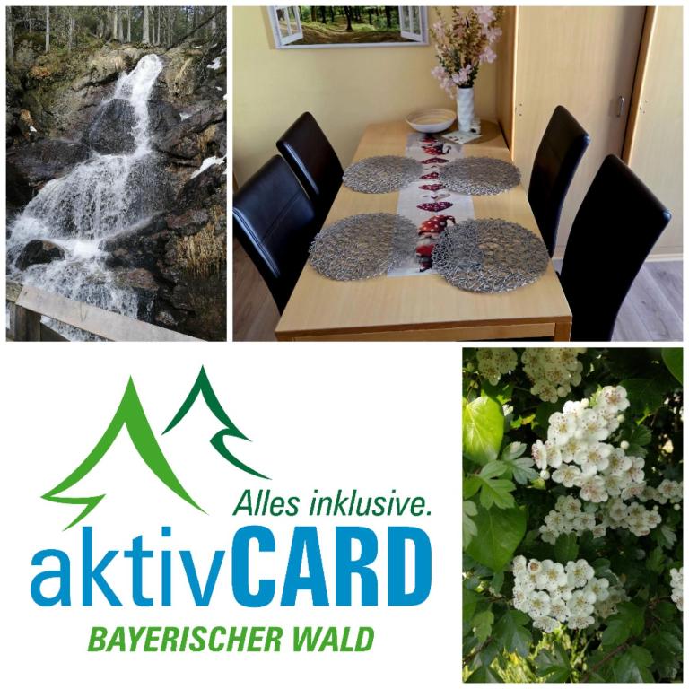 Familienwohnung Sonnenschein mit Hallenbad, Sauna & activCARD - Apartment - 32