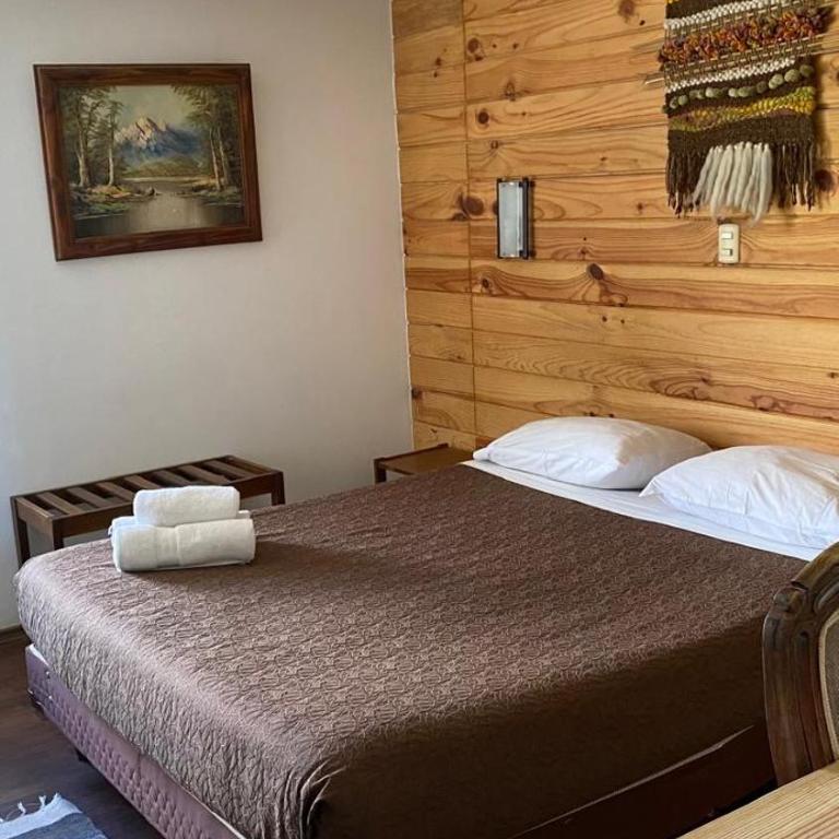 2.- Hermoso Dpto - Puerto Varas - One-Bedroom Apartment - 1