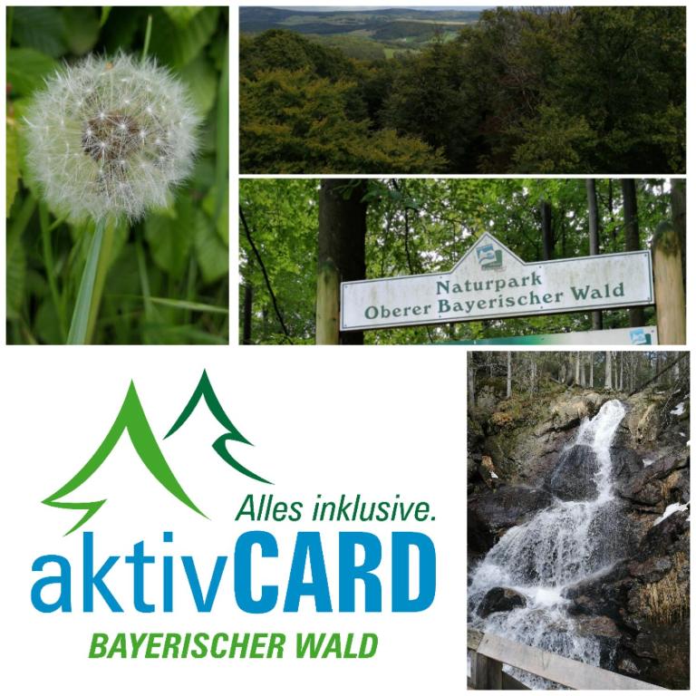Familienwohnung Sonnenschein mit Hallenbad, Sauna & activCARD - Apartment - 36