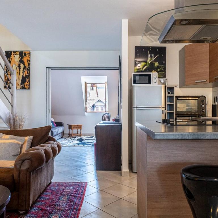 Carnot Duplex, spacieux 3 pièces avec 2 chambres sur les rue piétonnes - Maisonette-Apartment - 30