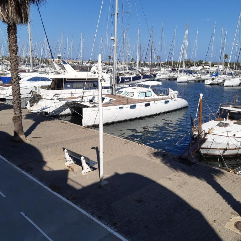NOUVEAU "La Grande voile" CLIM PISCINE PARKING - Apartment with Sea View - 12