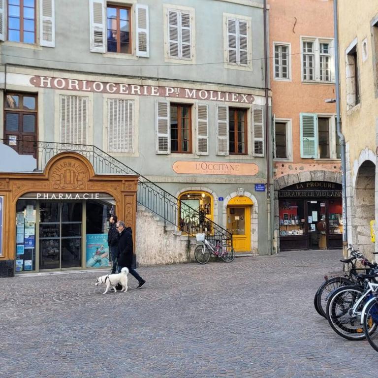 Annecy Lake Central - Apartamento de 2 dormitorios - 33