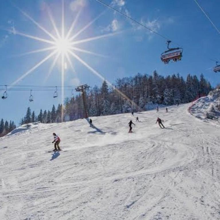 Alpine Soul Apartment - One-Bedroom Apartment - 12