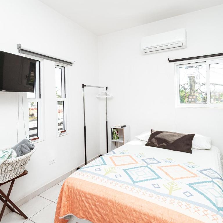 Departamento Palmita - Apartamento de 1 dormitorio - 1