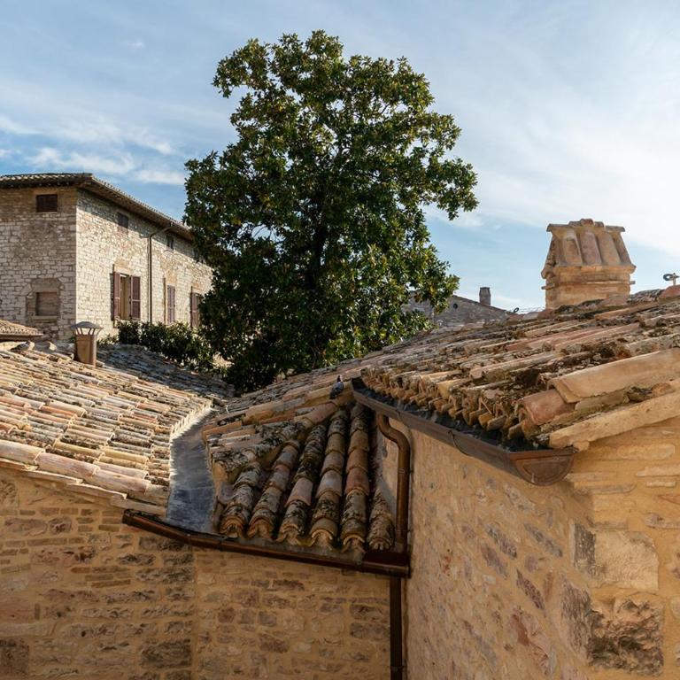 Palazzo Sbaraglini - Suite with Hot Tub - 3
