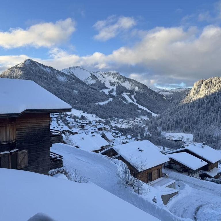 Studio Châtel 4 Pers, Ski, Balcon Sud/Ouest, Parking, Netflix/WIFI, Animaux admis - FR-1-676-122 - Studio - 15