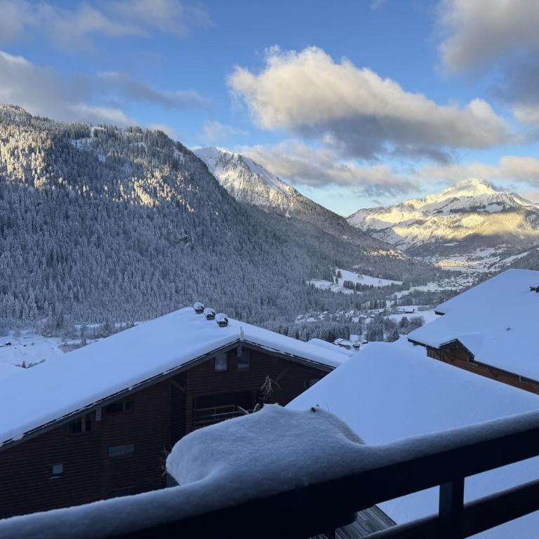 Studio Châtel 4 Pers, Ski, Balcon Sud/Ouest, Parking, Netflix/WIFI, Animaux admis - FR-1-676-122 - Studio - 16