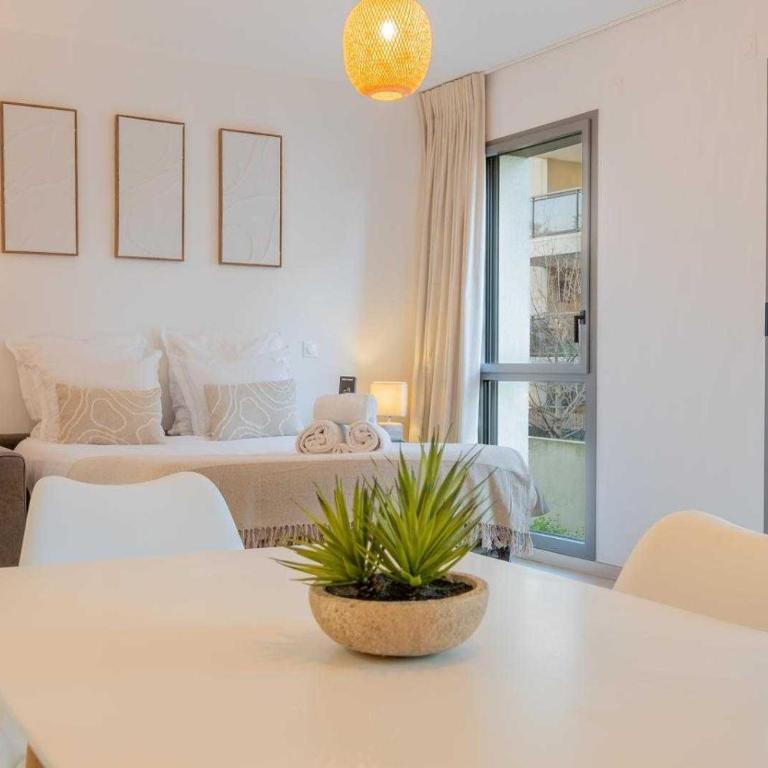 Spacious studio a-c 2P - Place des Lices - Apartamento - 12