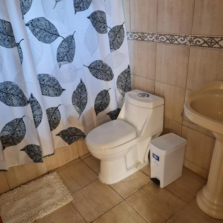 Isla Teja - Apartamento de 1 dormitorio - 3