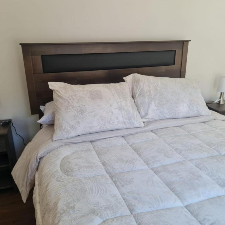 Isla Teja - Apartamento de 1 dormitorio - 4