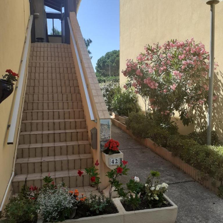 Appartement T2 classé 3 étoiles, à 400m de la plage - Apartamento de 1 dormitorio - 7