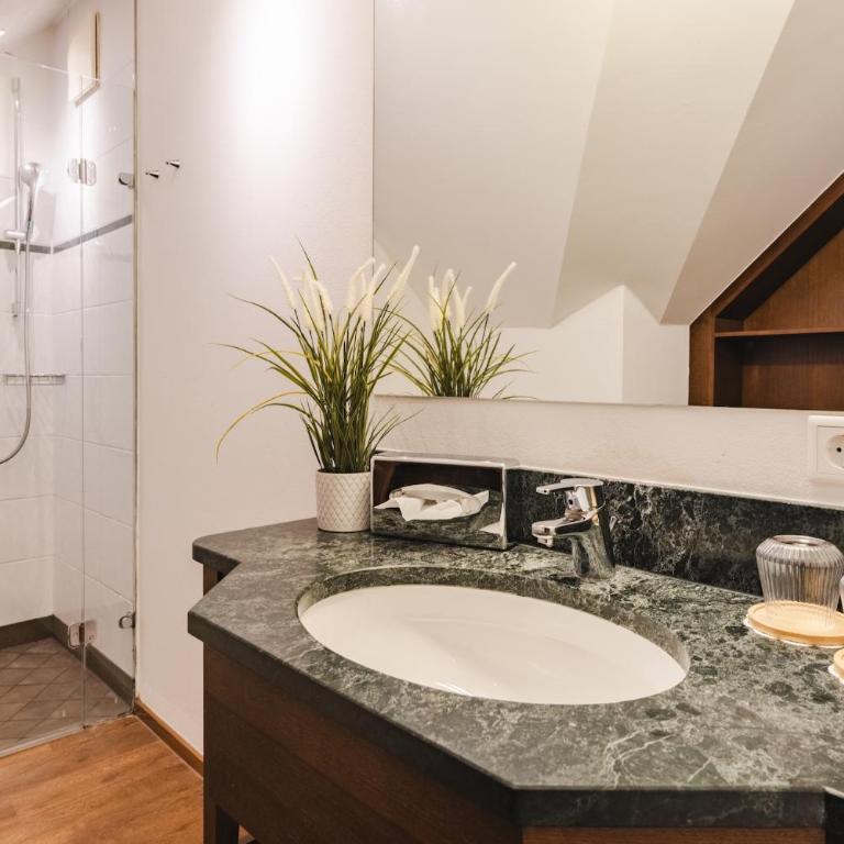Hotel Friesacher`s Aniferhof - Standard Doppelzimmer - 5