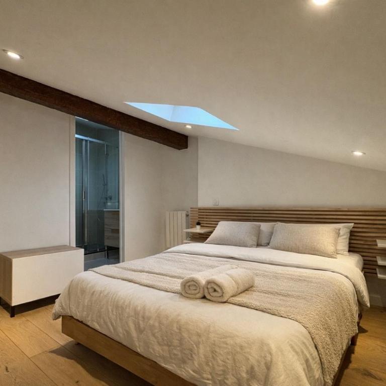 Cocon Mansardé - Velux et Clim - Hyper Centre - Apartamento de 1 dormitorio - 6