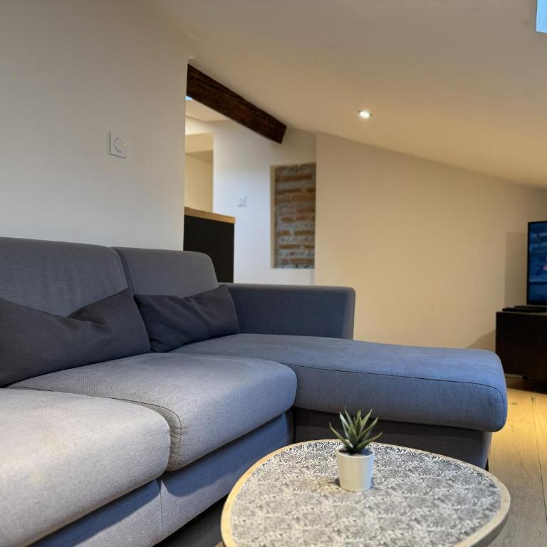 Cocon Mansardé - Velux et Clim - Hyper Centre - Apartamento de 1 dormitorio - 16