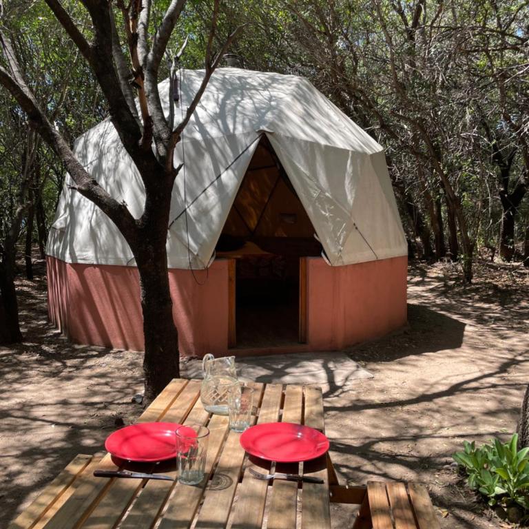Domo geodésico en Yacumama para 2 personas - Apartamento de 1 dormitorio - 3