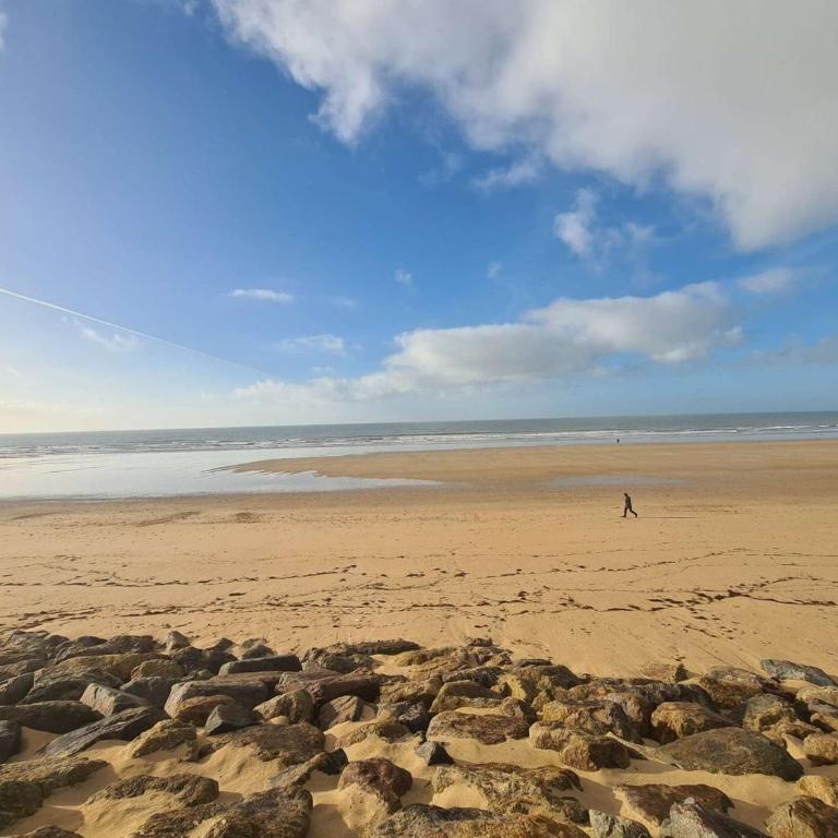 Superbe Appartement 3 pièces, 6 Couchages, Plage à 50m - FR-1-224C-365 - Apartment - 19