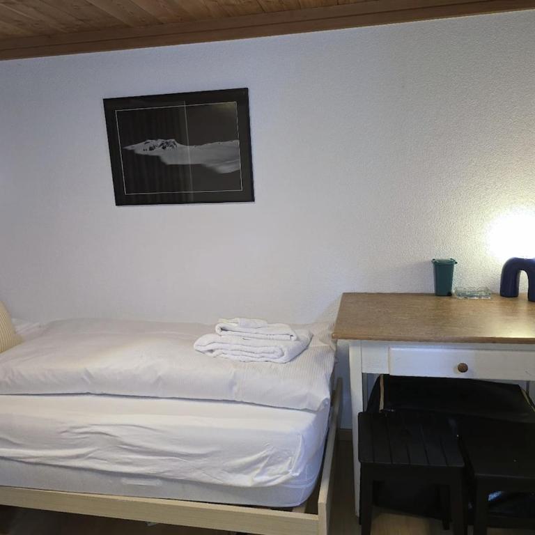 Heimatkunst 02, klassisches Walliser Chalet, teilrenoviert, zentral - Apartment mit 1 Schlafzimmer - 8