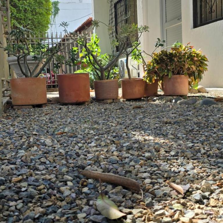 Suite en zona exclusiva - Apartamento de 1 dormitorio - 8