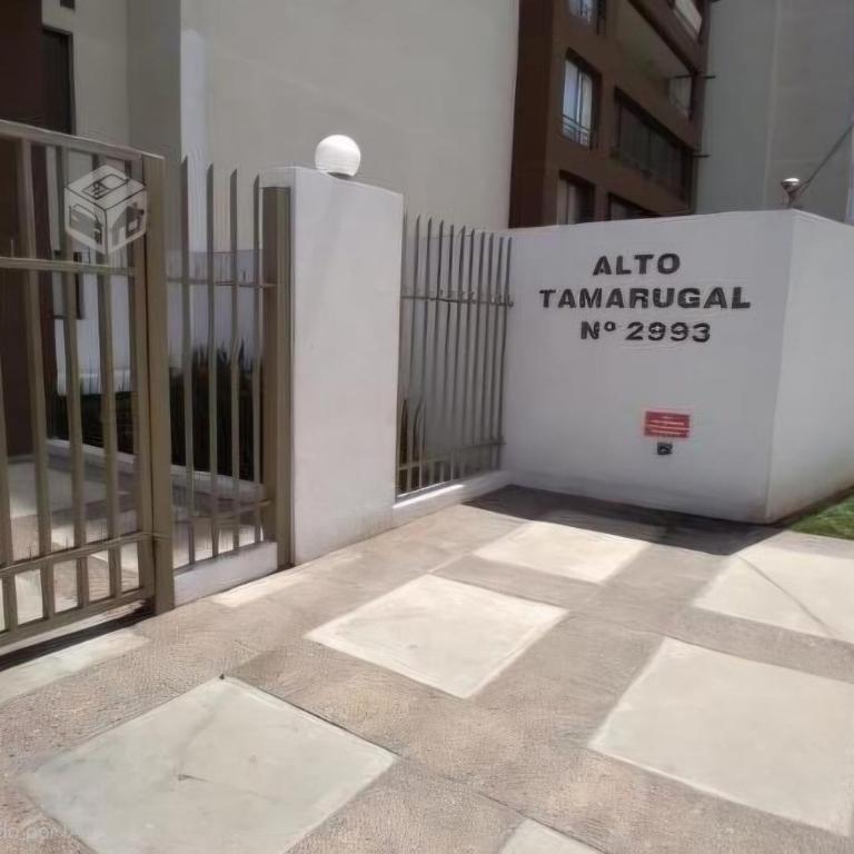 Departamento Tamarugal - Two-Bedroom Apartment - 11