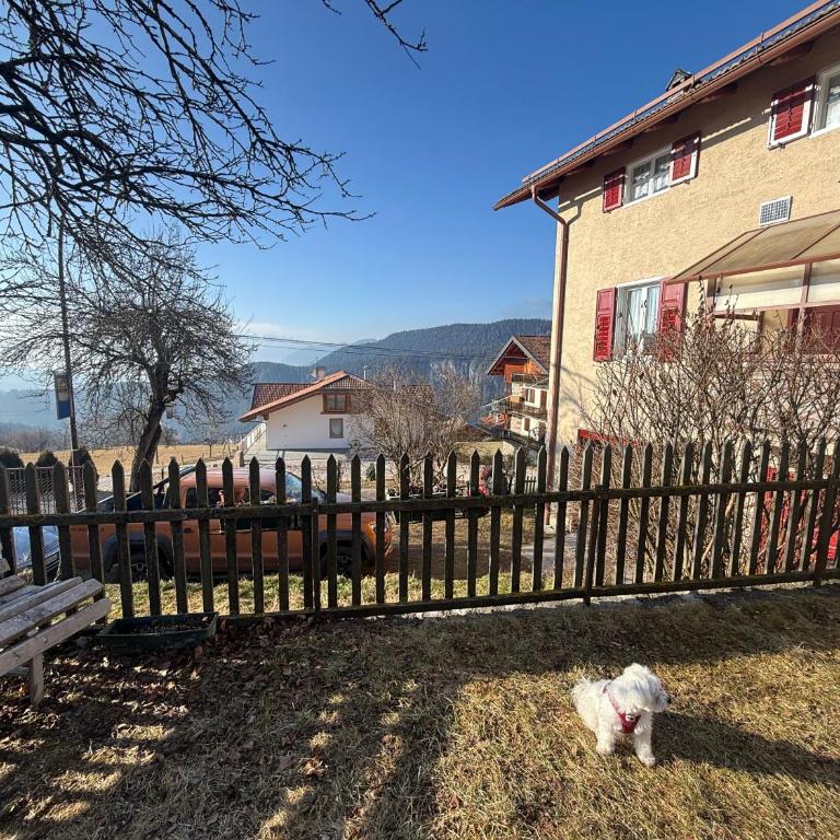 Casa Montana & Zampette - Haus mit 4 Schlafzimmern - 16