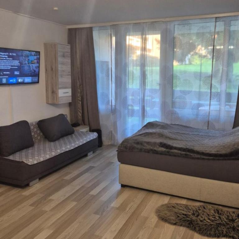 Ferienwohnung Phin in Sankt Englmar, mit Pool, activCard und Smart TV - One-Bedroom Apartment - 1