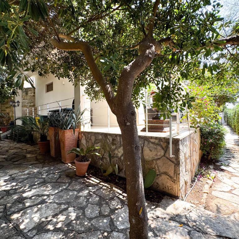 Villa Nauna - Beachfront Villa with Garden & Sea-View Terrace Santa Caterina - Marea Stays Collection - Casa con 2 Camere da Letto - 22