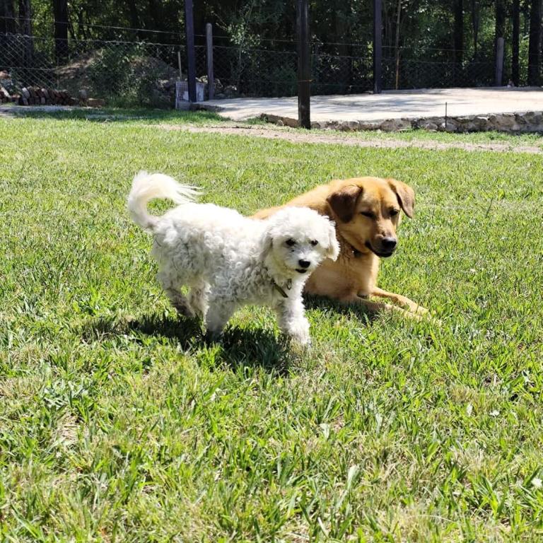 Los Grillos Cabañas Serranas - Casa con 1 dormitorio - 7