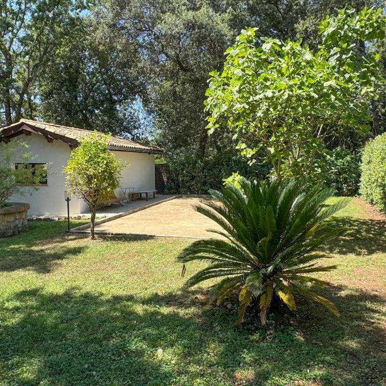 Superbe villa de 5 suites, climatisation, piscine, tennis, hauteurs de St Paul - Villa - 67